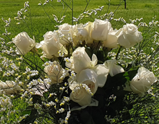 Arreglo floral
